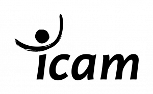 logotype-seul-monochromie-RVB Logo ICAM